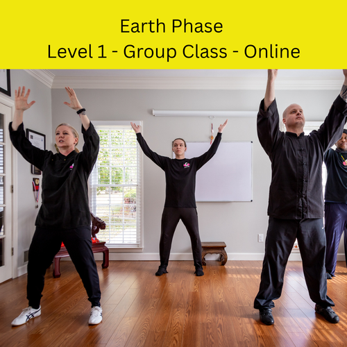 Earth Phase: Level 1 Fitness Practice, 30 Minutes, Group