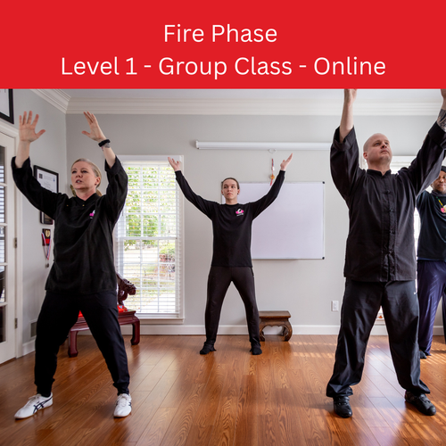 Fire Phase: Level 1 Fitness Practice, 30 Minutes, Group