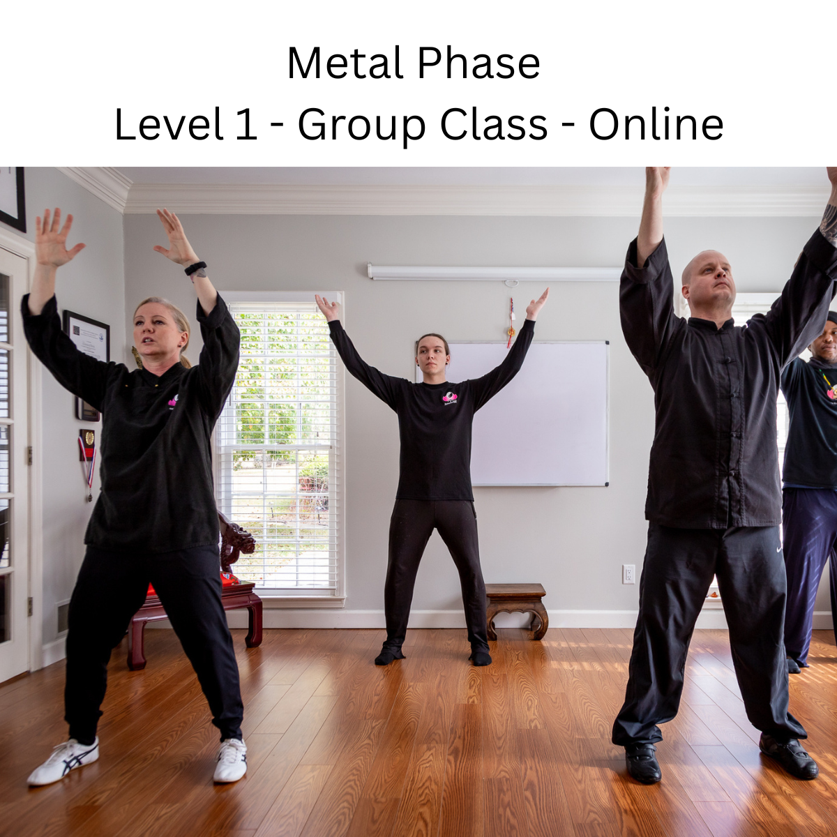 Metal Phase: Level 1 Fitness Practice, 30 Minutes, Group
