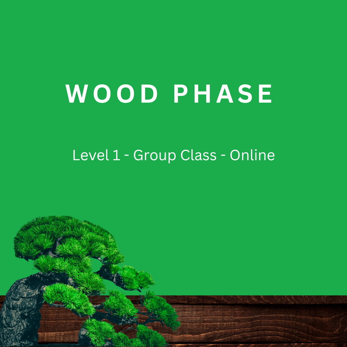 Wood Phase: Level 1 Fitness Practice, 30 Minutes, Group
